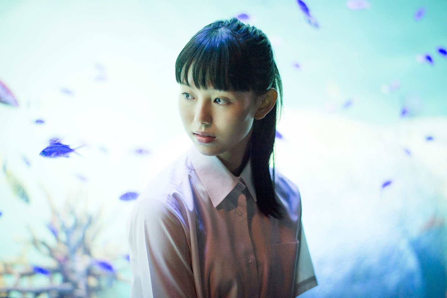 白石 南帆 - 制服編 - Scene 9 (撮影日/2017年3月30日。撮影時学年/高校一年生。撮影/大和田良)