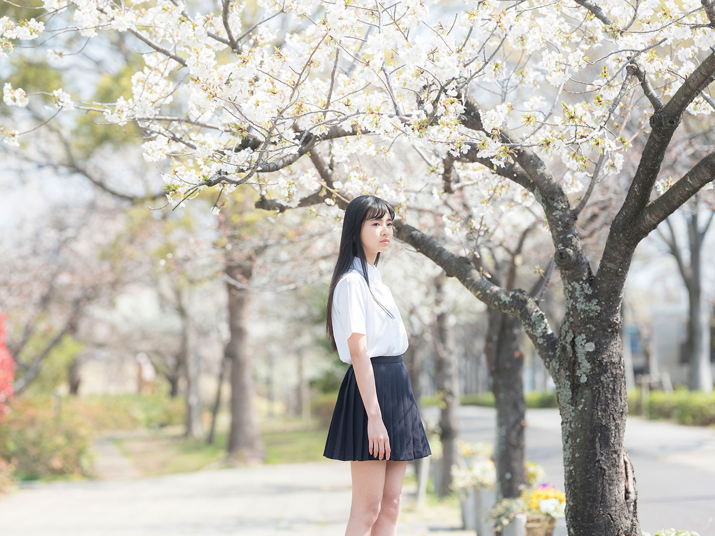 田中杏奈 - 制服編 - Scene 1 (撮影日/2019年3月27日。撮影時学年/中学一年生。撮影/サトウノブタカ)