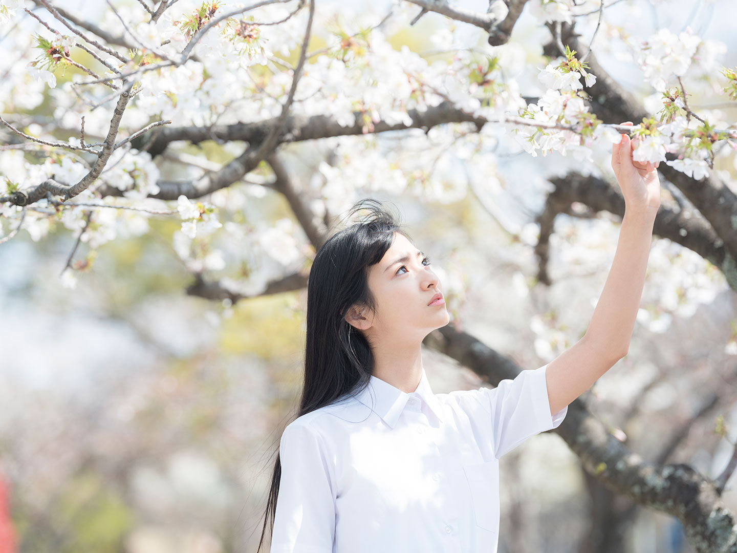 田中杏奈 - 制服編 - Scene 2 (撮影日／2019年3月27日。撮影時学年／中学一年生。撮影／サトウノブタカ)