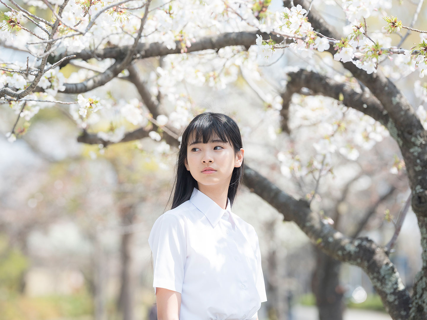 田中杏奈 - 制服編 - Scene 3 (撮影日/2019年3月27日。撮影時学年/中学一年生。撮影/サトウノブタカ)